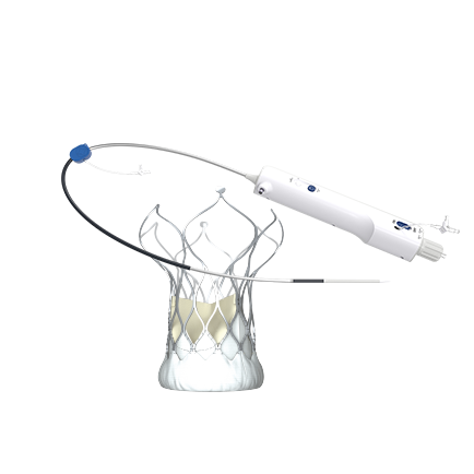 VitaFlow Liberty<sup>®</sup> Transcatheter Aortic Valve and Retrievable Delivery System