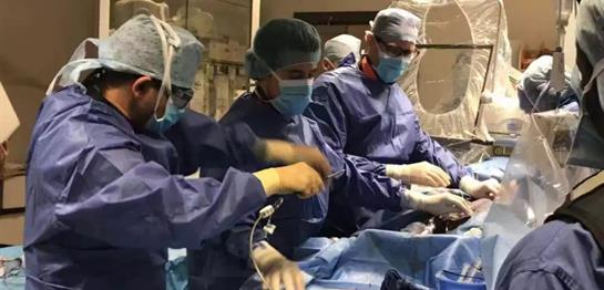 First  Patient Enrollment Was Successfully Completed for the Pre-market Clinical Research  in Europe on VitaFlow<sup>®</sup> II Transcatheter Aortic Valve and Retrievable Delivery System of MicroPort<sup>®</sup> CardioFlow